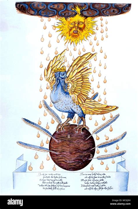 the bird of hermes explained